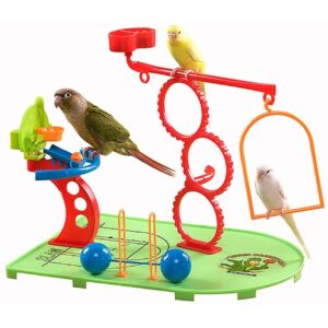 Birdie Basketball Gym - Activity Centre for Smaller Parrots