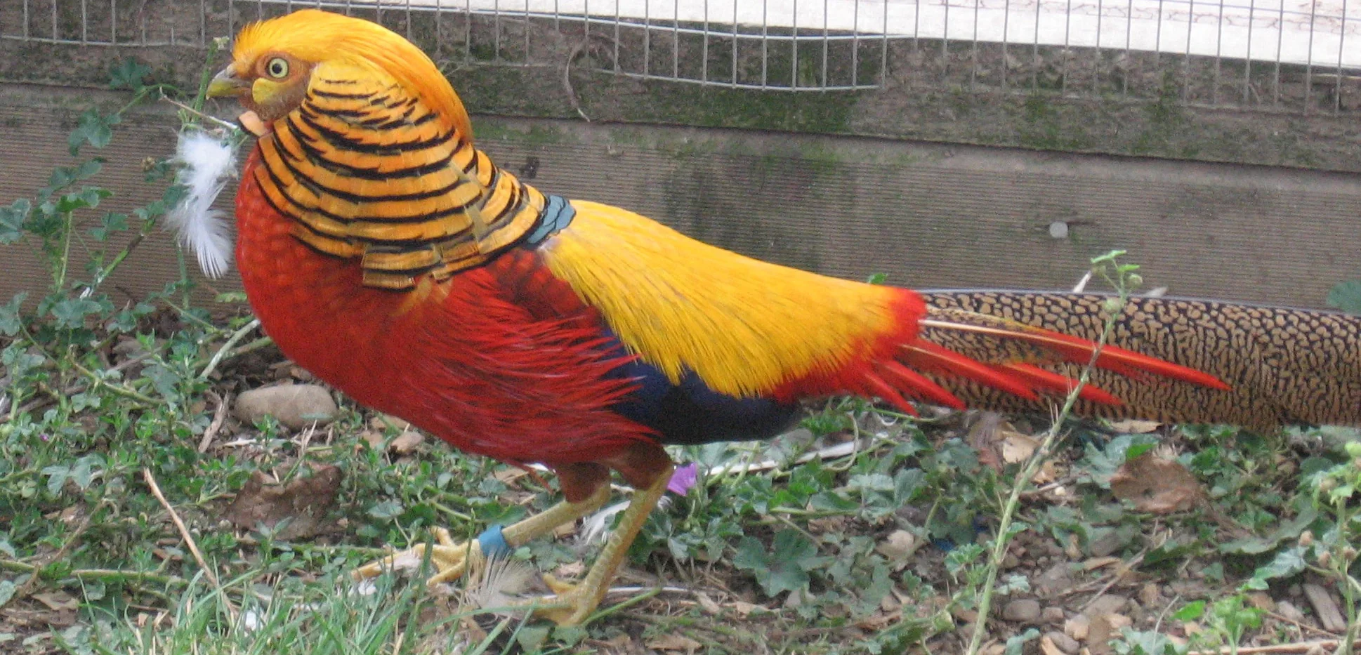 pf-d80bcb6e-8f9d-4bff-9b60-aa9797849ba1--golden-slider-Edited