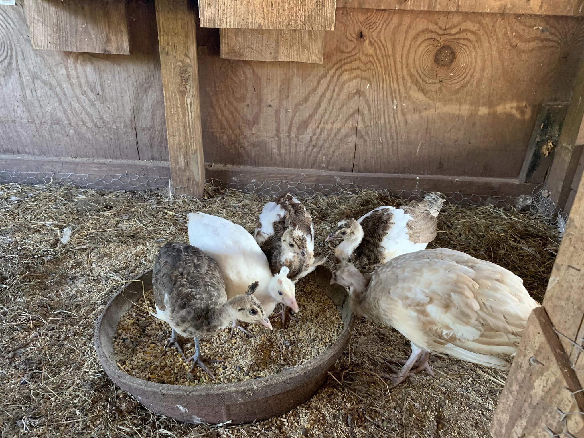 365642631_7130937120269578_6668975907534027820_n