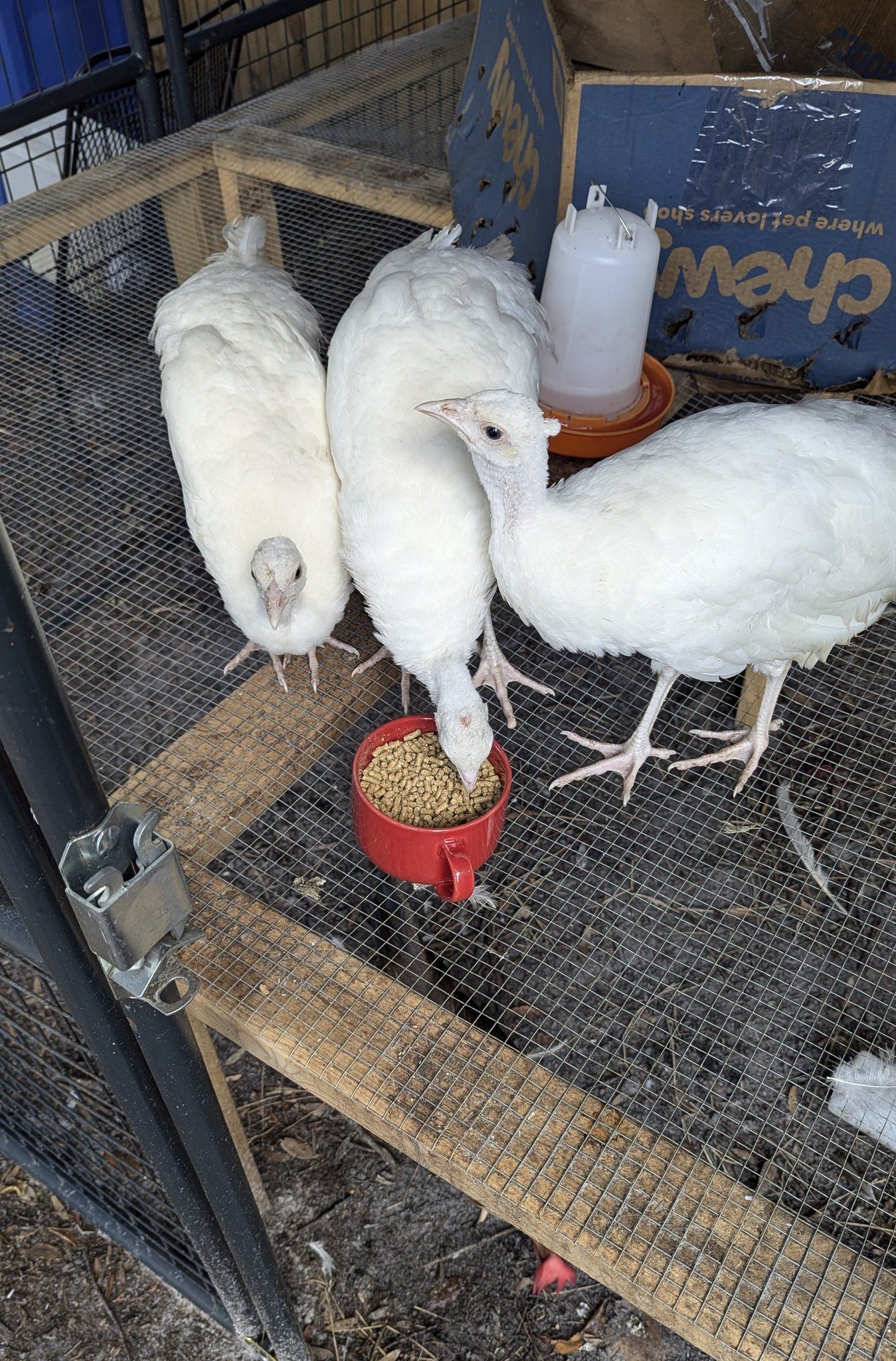 458299706_10229590046527802_8689604203599100011_n