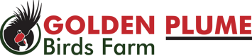 Golden Plume Birds Farm – Rare & Healthy Exotic Birds